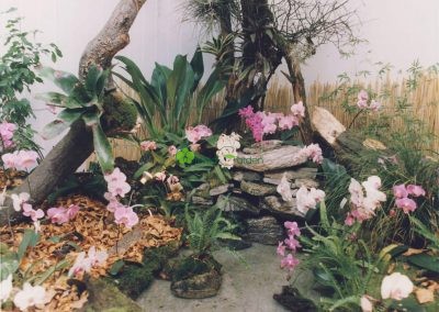 výstava s orchideami
